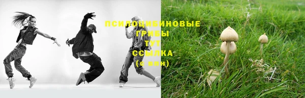 винт Лагань
