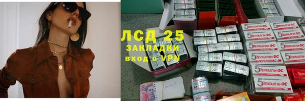 винт Лагань