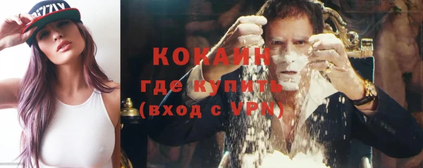 винт Лагань