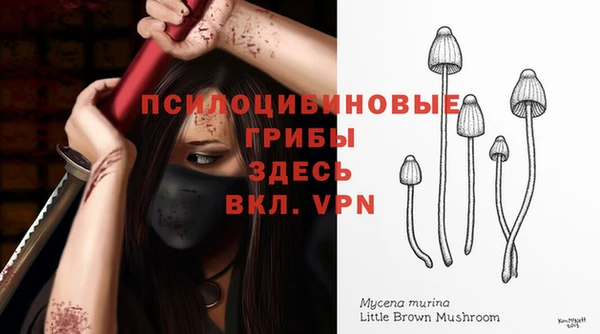 гашишное масло Лабытнанги