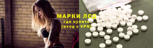 винт Лагань