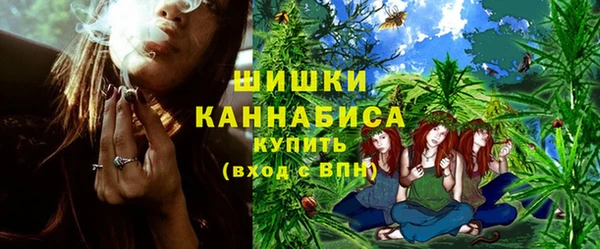винт Лагань