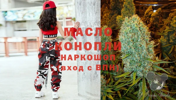 винт Лагань