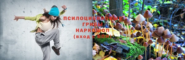 дурь Заречный