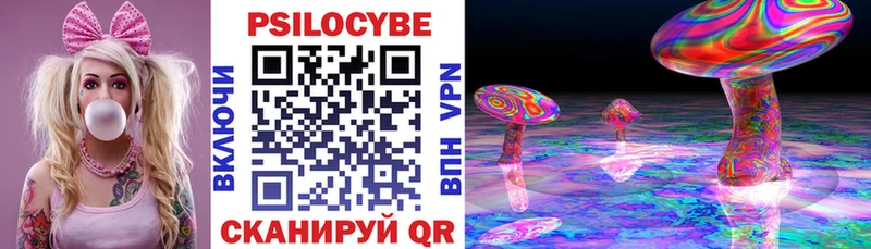 Купить где  Костерёво  Псилоцибиновые грибы ЛСД 